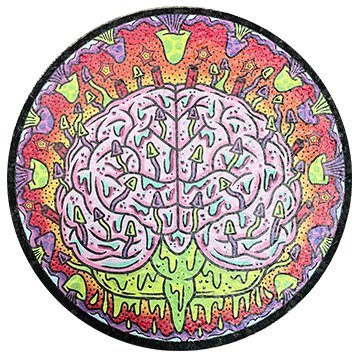 East Coasters - 10" THIS IS YOUR BRAIN ON DRUGS Coaster Dab Mat